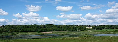 IMG_1250.jpg