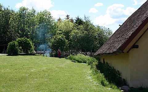 IMG_1283.jpg